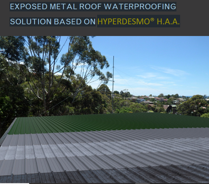 HYPERDESMO-HAA-EXPOSED-METAL-ROOF-1.png