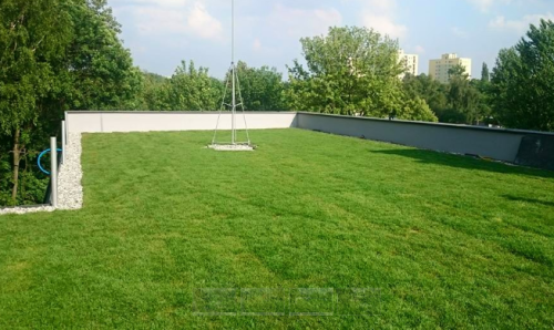 GREEN-ROOF-2-e1748521872361.png
